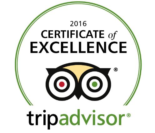 TripAdvisor