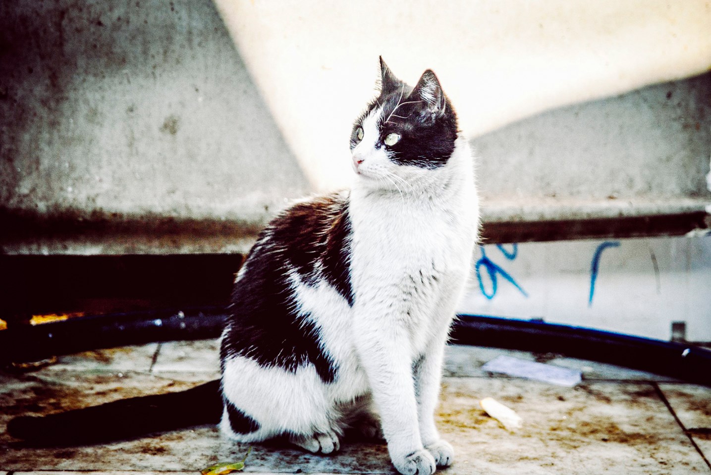 Portus Karaköy